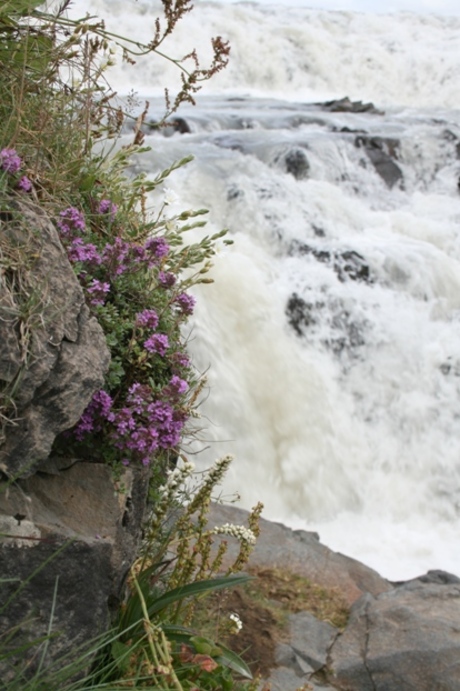 Gullfoss