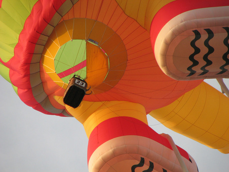 schildpad luchtballon