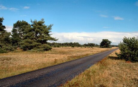 Eindeloze Veluwe 1