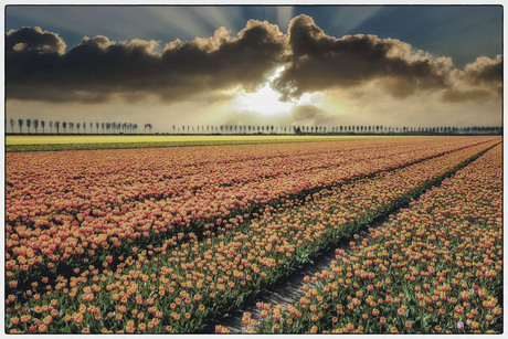 Dat was het dan weer......