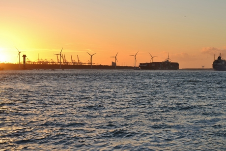 Zonsondergang bij Hoek van Holland