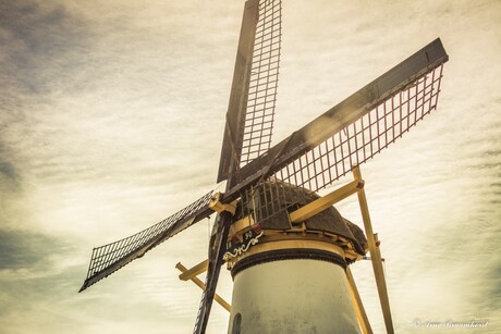 Molen Kinderdijk