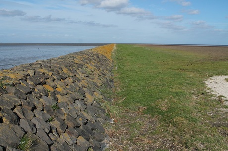 Het Wad.jpg