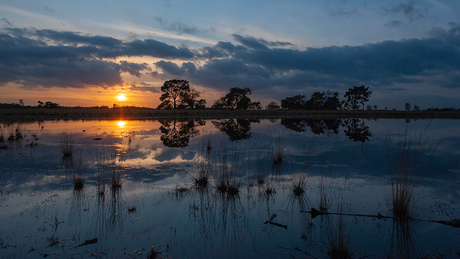 Zonsondergang nabij Beuven op de Strabrechtse heide