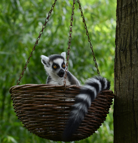 ik zit te eten hoor..!!