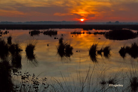 Sunset Fochtelooerveen