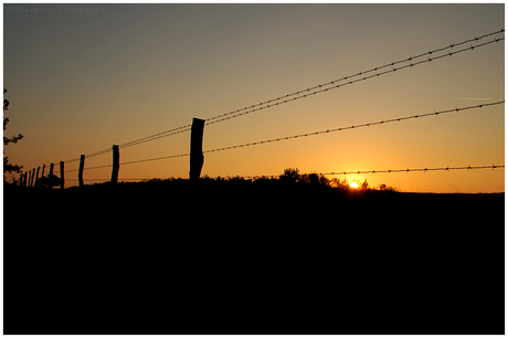 Zonsondergang op de Veluwe