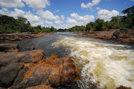 Stroomversnelling in Surinamerivier