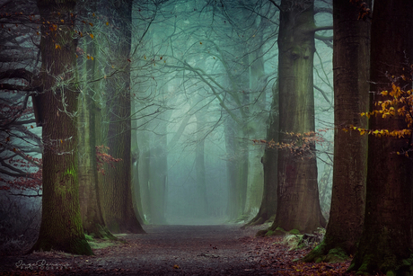 Do You Believe In Fairytales?