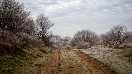 Mooi winterlandschap