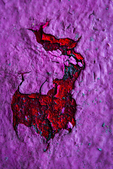 OP  DE  HORENS  GENOMEN