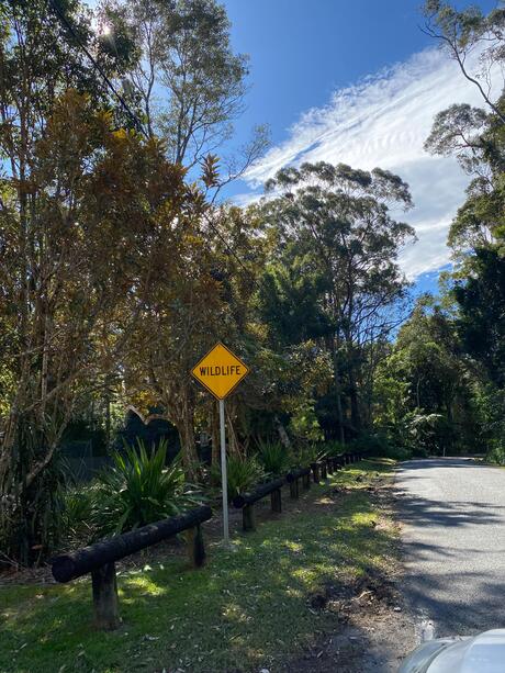 Hervey Bay - Australië