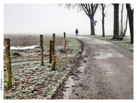 Wandeling op een mistige morgen.