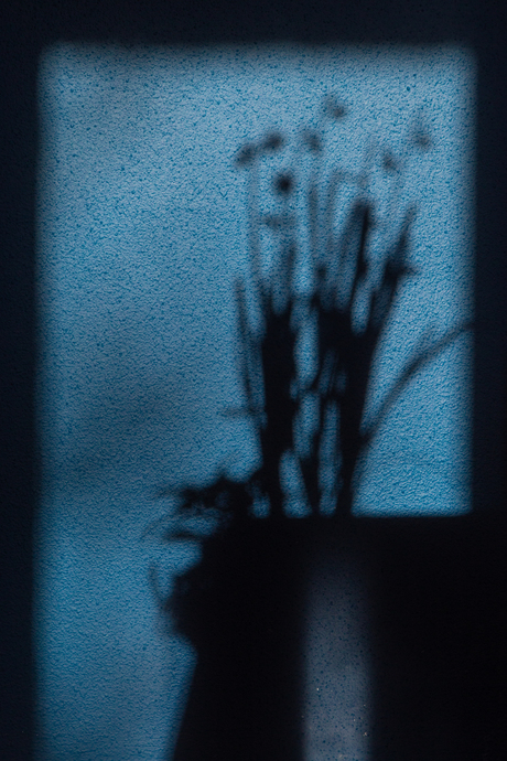 Als de winterzon in huis schijnt