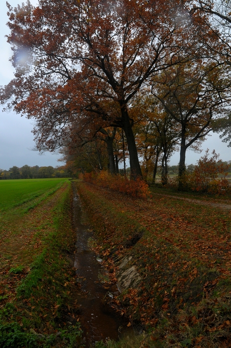 Herfst