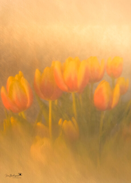 Lichtpuntjes in de kou.