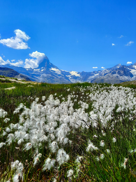 Matterhorn