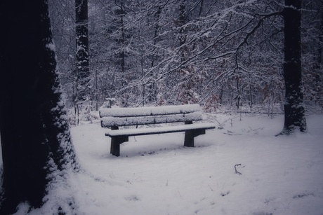 Besneeuwd bankje