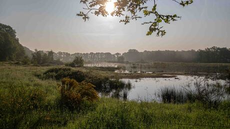 Zwarte water