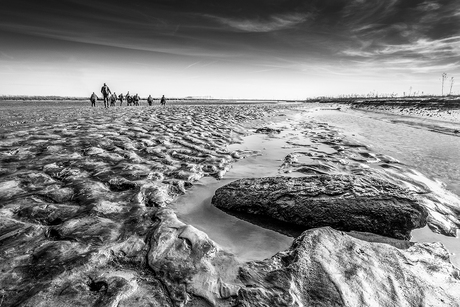 Het verdronken land....