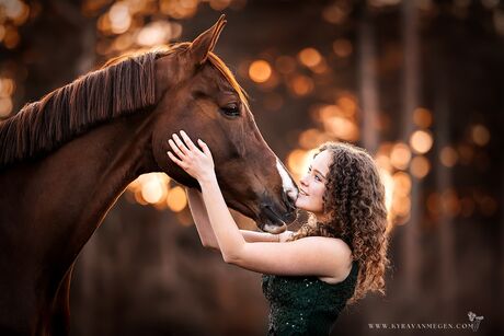 Paardenliefde 