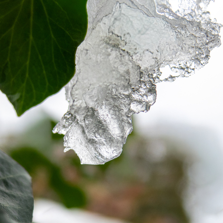 MET  HET  HOOFD  IN  DE  WOLKEN
