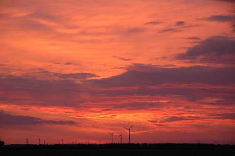 Zonsondergang in Flevoland