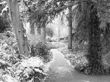 Historische Tuin Schoonoord in de sneeuw