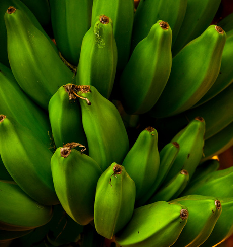 Green Bananas