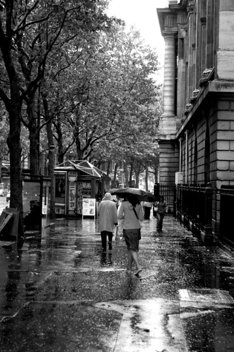 Paris in rain