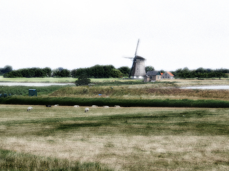 molen