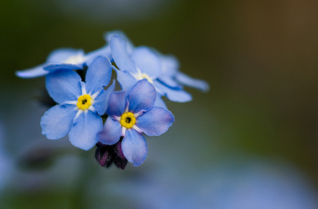 Bijna lente.