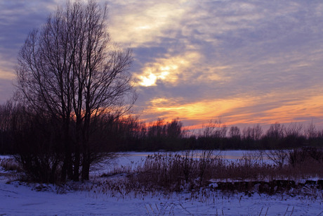 Sneeuwlandschap