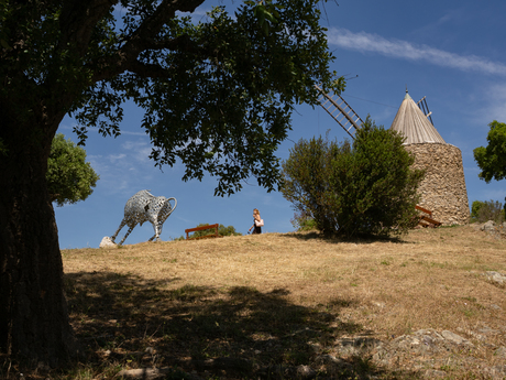 Tussen Molen en Stier