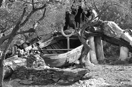 1209255563 rmzw een bijzondere tuin