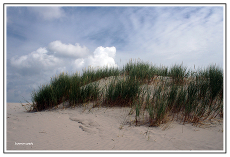 Ameland3