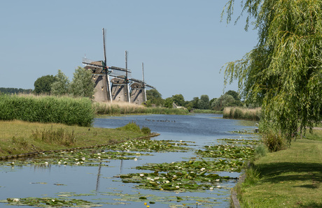 Molengang