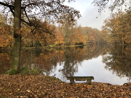 Biljoen in herfsttinten 