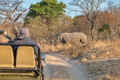 neushoorn op safari