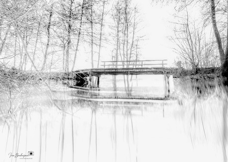 Verbonden in de Spiegeling