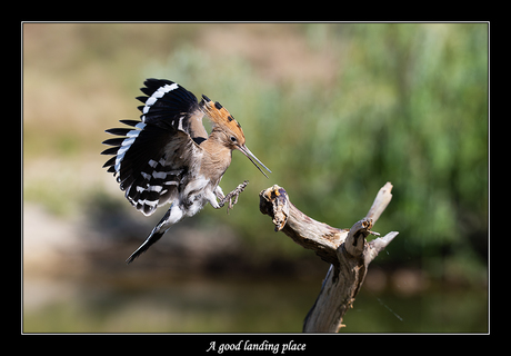 A good landing place