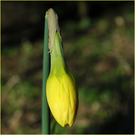 Lente komt eindelijk!