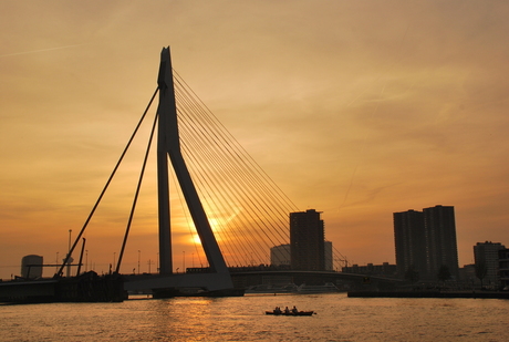 Erasmusbrug Rotterdam