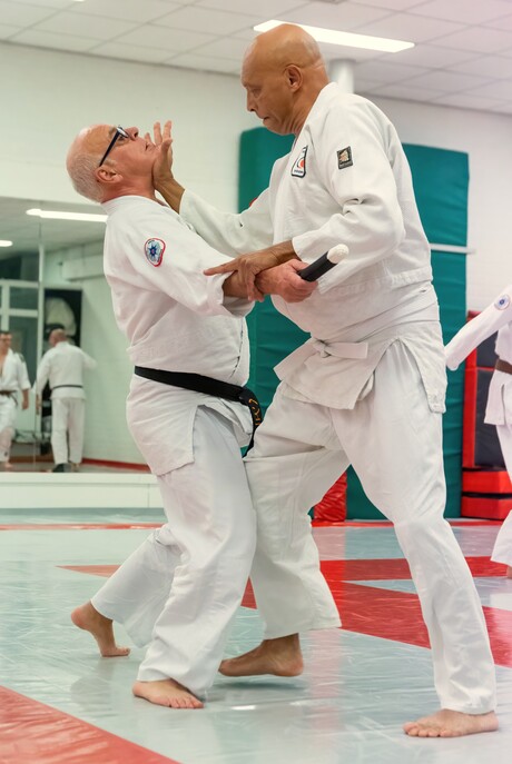 Aikido training