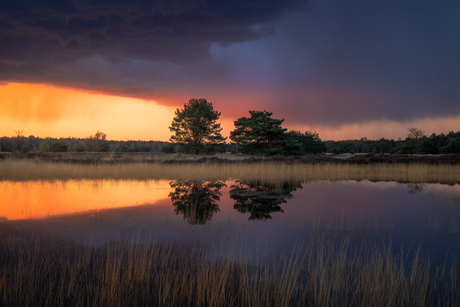 Zonsondergang met onweersbui Regte Heide