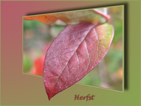 Herfst