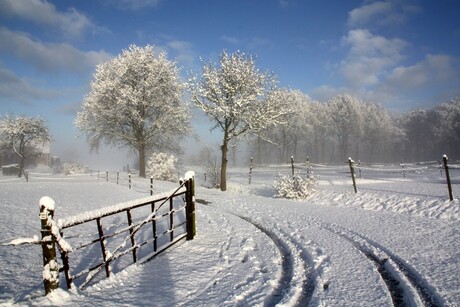 Winter op het platteland