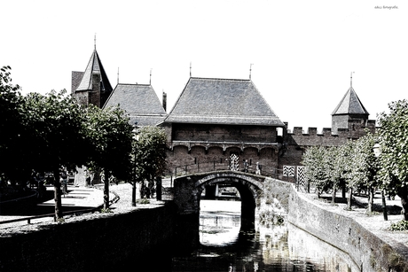 DSC_4922 Waterpoort. Amersfoort.