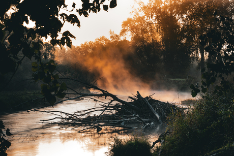 Zonsopkomst aan de Roer