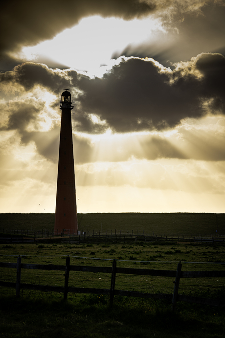 Let there be light 